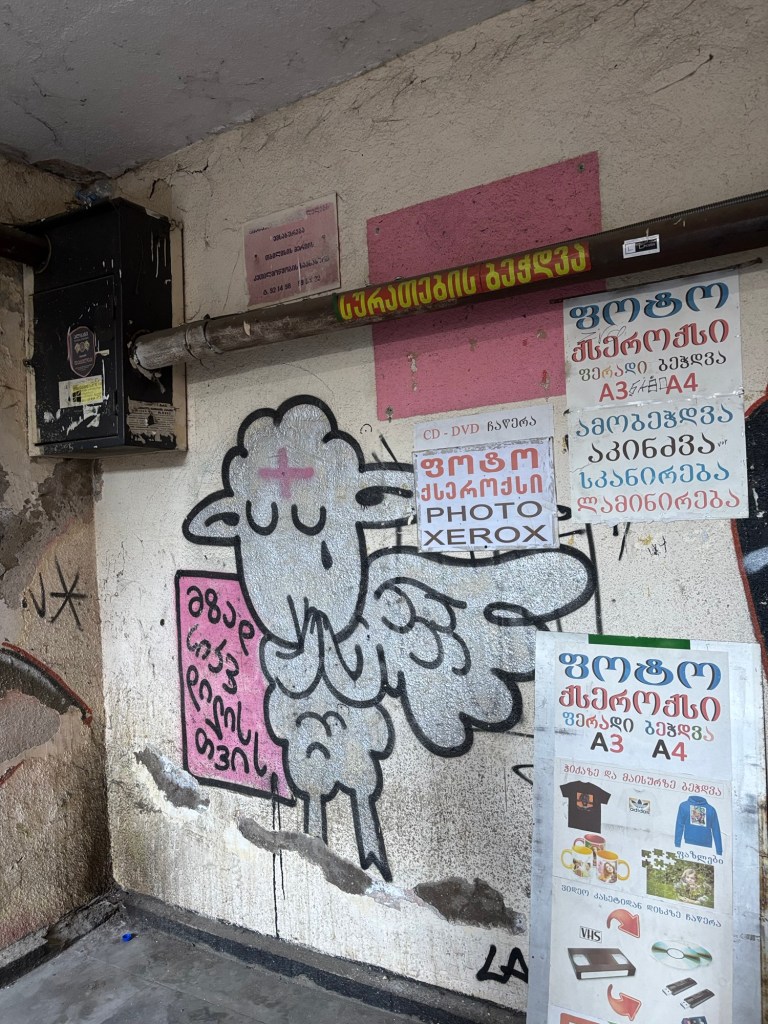 img_8887